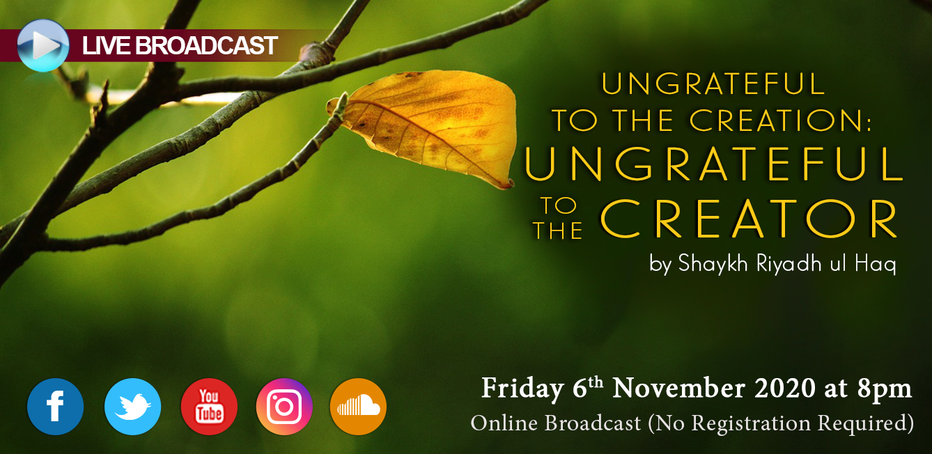 Ungrateful to the Creation: Ungrateful to the Creator