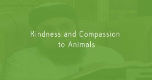 Kindness and Compassion to Animals